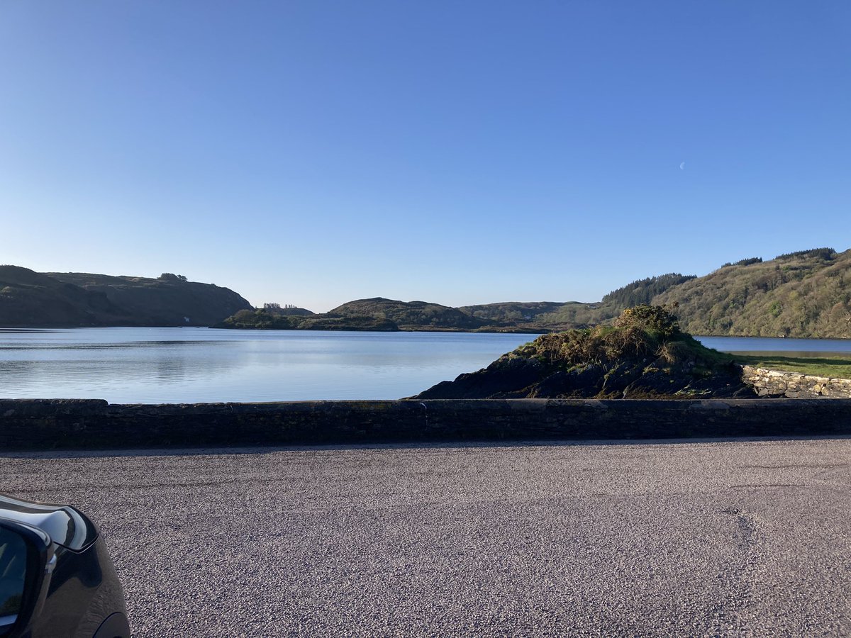 cronin_siobhan's tweet photo. Always settles the mind to have a swim before @westcorktm meetings of a Saturday. 🤪 https://t.co/485xSjFOPK