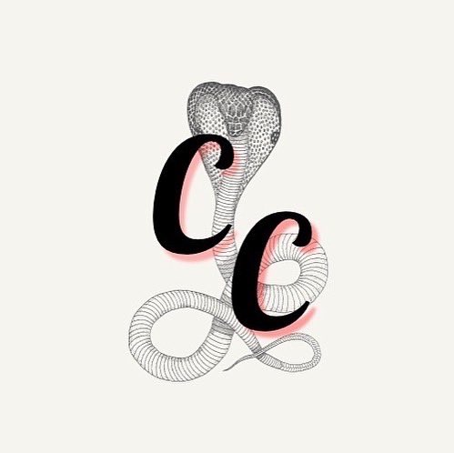 emmaspm280's tweet photo. New logo’s, same legendary team! Here’s to season 35🎉

#chicagocobras #gvsportmgt280 https://t.co/m7wk4S1gy2