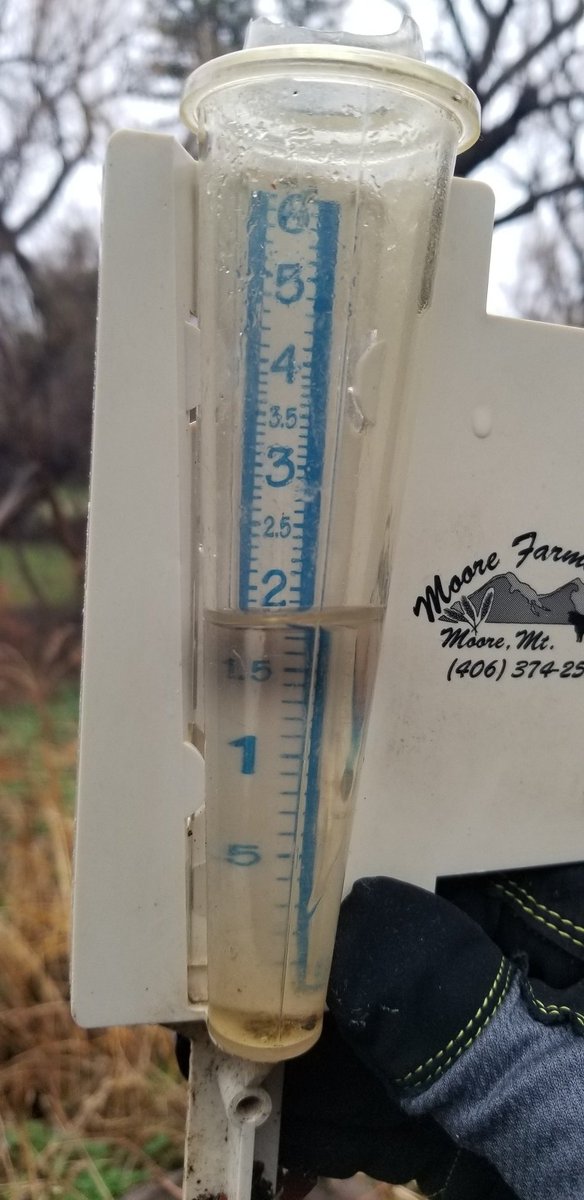 YellowstoneMTCA's tweet photo. Wow..Almost 2 inches of much needed rain last night with more to come today in Yellowstone Valley. 🌧  #mtweather https://t.co/ilAIaivS3d