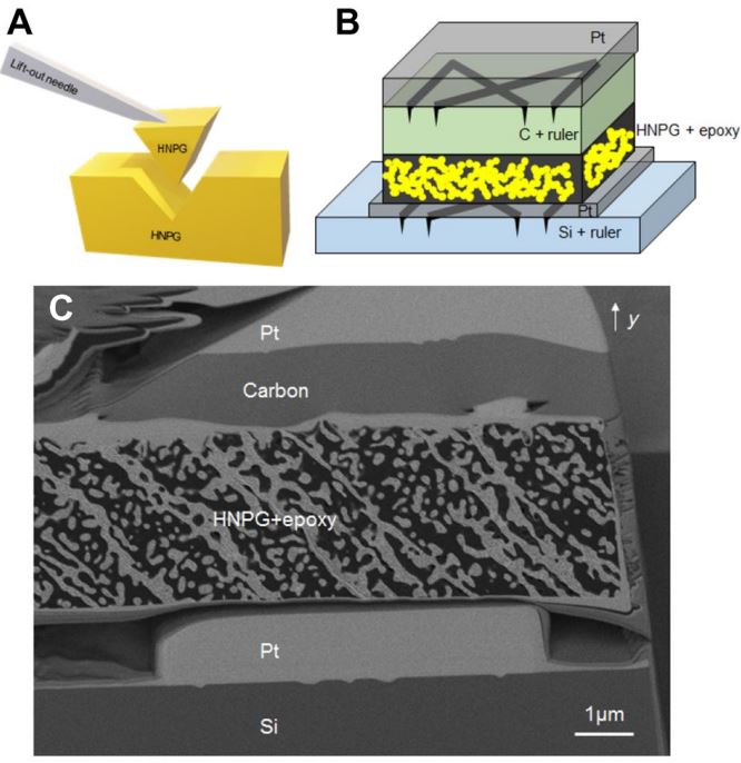AndNmme's tweet photo. Accurate FIB-SEM 3D tomography construction of hierarchical nanoporous gold was realized by slice thickness optimization. It was found that the mean slice thickness depends on the ion beam imaging parameters. https://t.co/STr1KrCIxU https://t.co/jjChqvlMKz