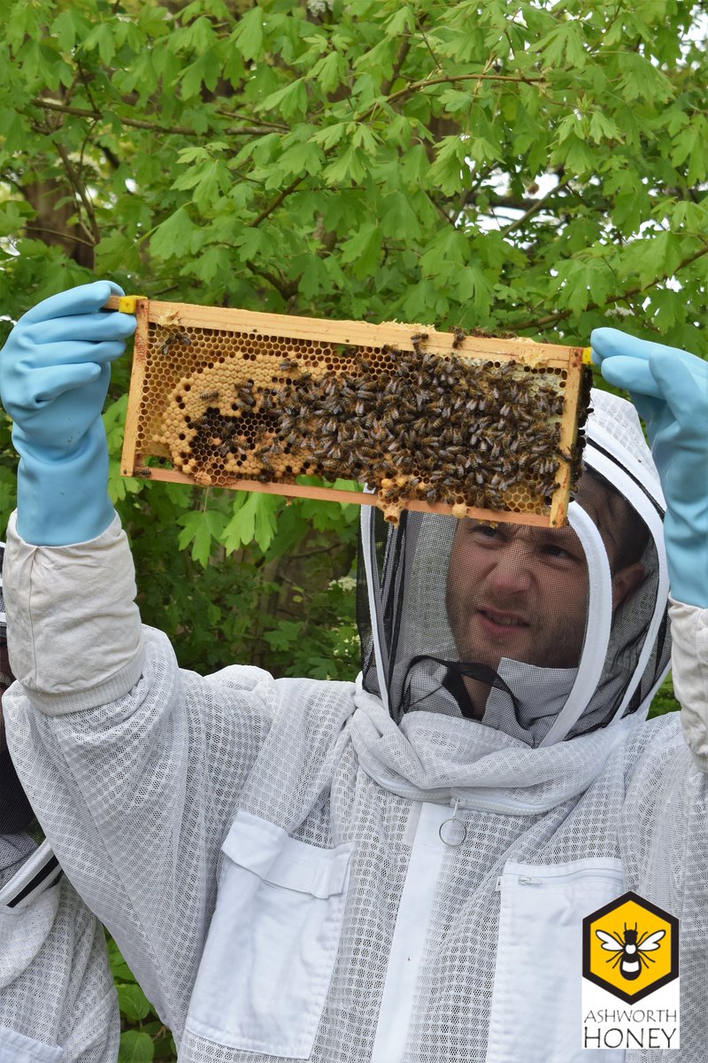 First bee experience of the year! Blue queen seen.👑 #beekeeping #education