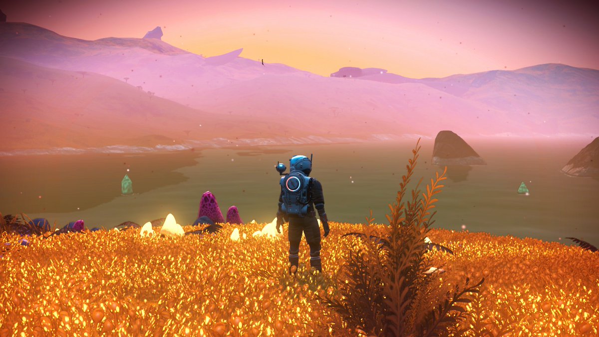 KambaExplorer's tweet image. Palm Lake Base, Planet of Palm #NoMansSky #XboxShare