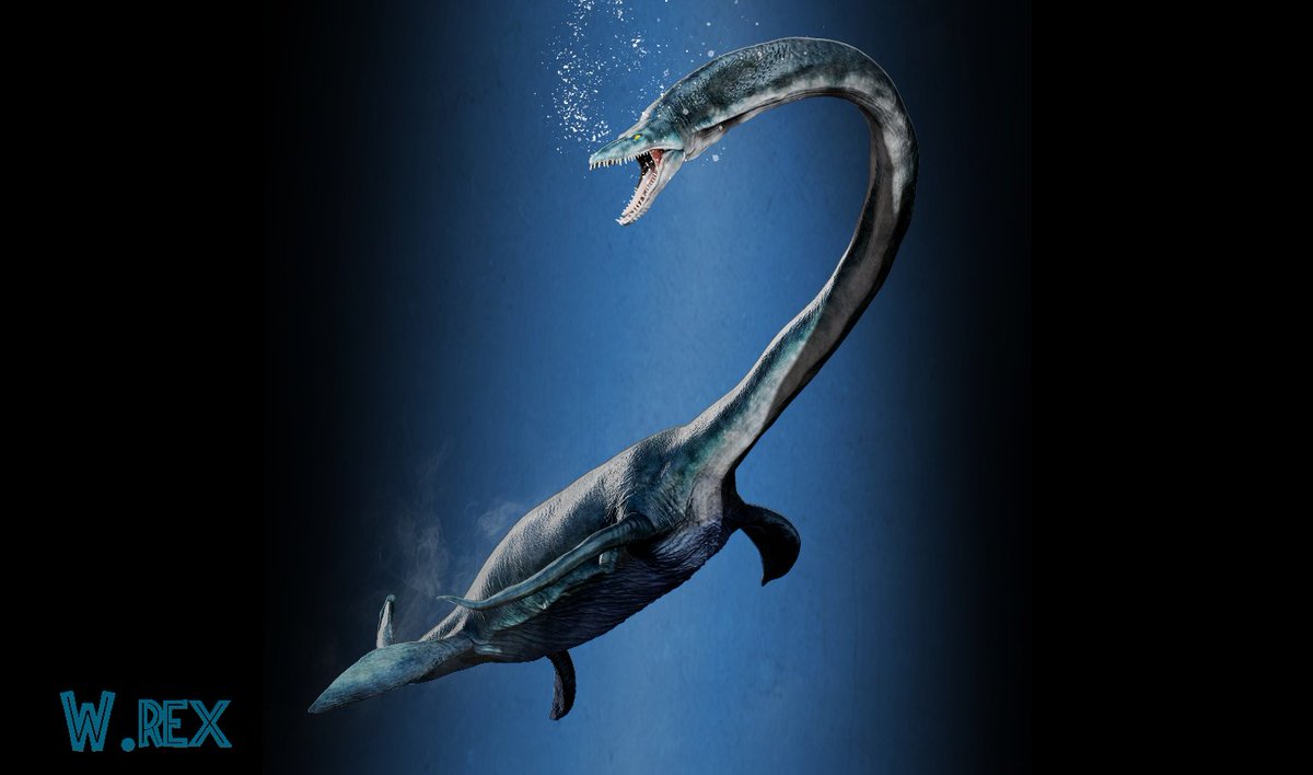 vankev's tweet photo. #elasmosaurus
#abcfanartchallenge
#abcfanart #abcfanarts #zbrush #3dmodeling #3dmodel https://t.co/naPwydUi9q