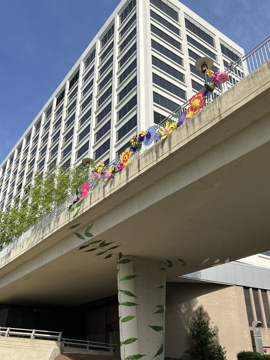 GenY4Transit's tweet photo. I spy blooms in @RosslynVA π·Come check out these #RosslynRefresh installs & visit the Flower Market today (4/23) from 11-3. https://t.co/gdP1ppOPQo https://t.co/mFNmvqyjZO