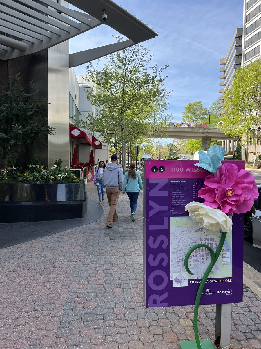GenY4Transit's tweet photo. I spy blooms in @RosslynVA π·Come check out these #RosslynRefresh installs & visit the Flower Market today (4/23) from 11-3. https://t.co/gdP1ppOPQo https://t.co/mFNmvqyjZO