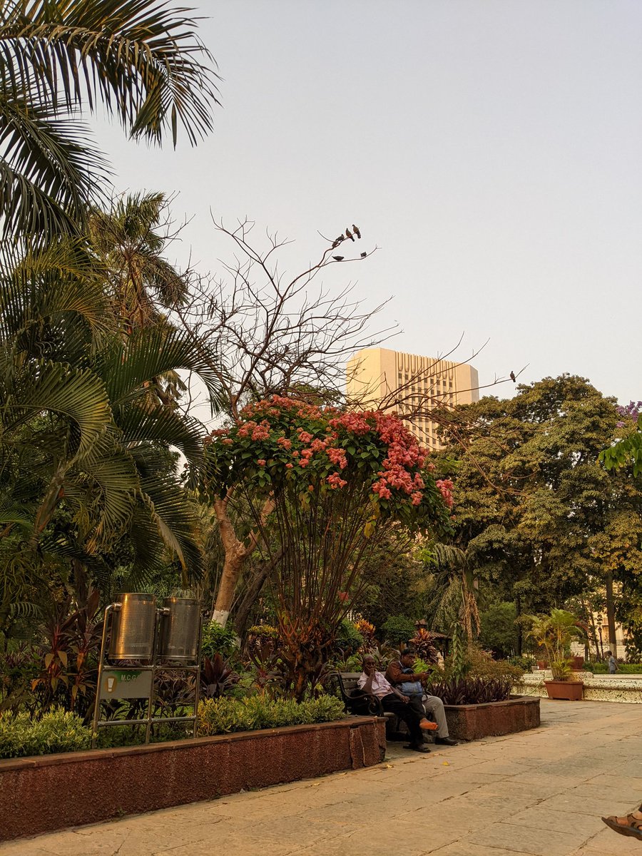 rakesh_botadkar's tweet photo. #EarthDay2022 #Shotonpixel3 #teampixel Nuf said... https://t.co/bbzkoYxZCN