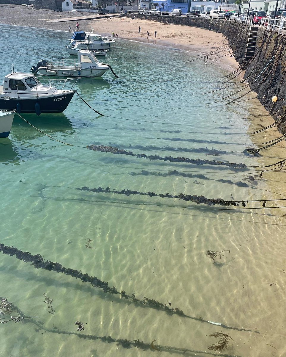 julieannrees's tweet photo. Made a detour to search for sea glass during our break to Jersey. Thank you @SophieCous for the guidance. Rozel 🐚 https://t.co/JIsm4KHoeO