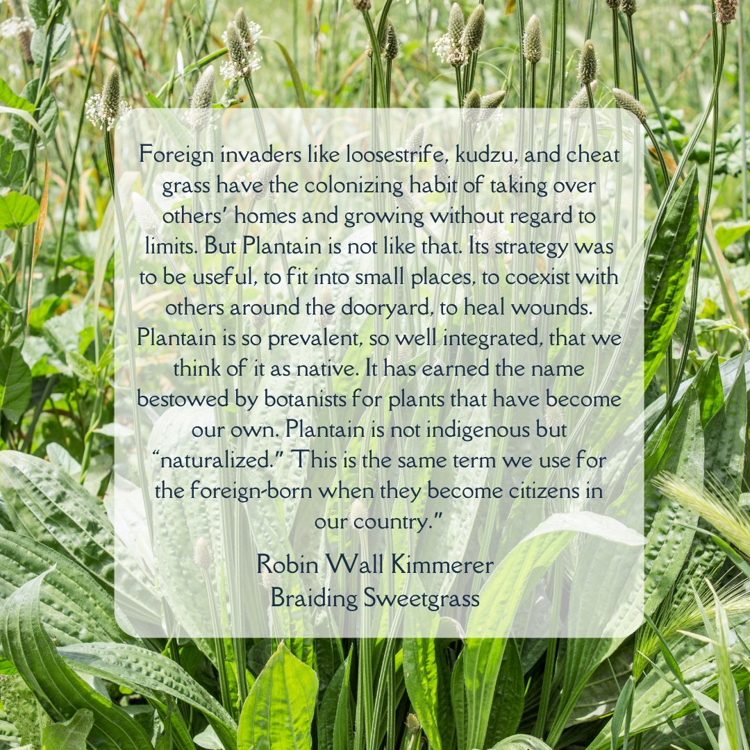 Urban Growers Collective tweet media