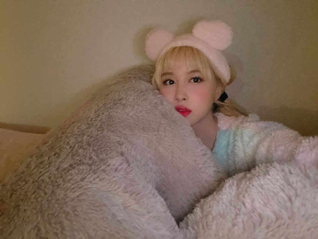 daouyng's tweet photo. I warmly welcome you to @daouyng's lovely world. Hello there, I've chosen you to be my new cute online best-friend, and you won't be able to refuse the offer. Don't worry, I'll give you the warmest friendship ever and plenty of sweets whenever you need it! https://t.co/ZiLArYvYGv