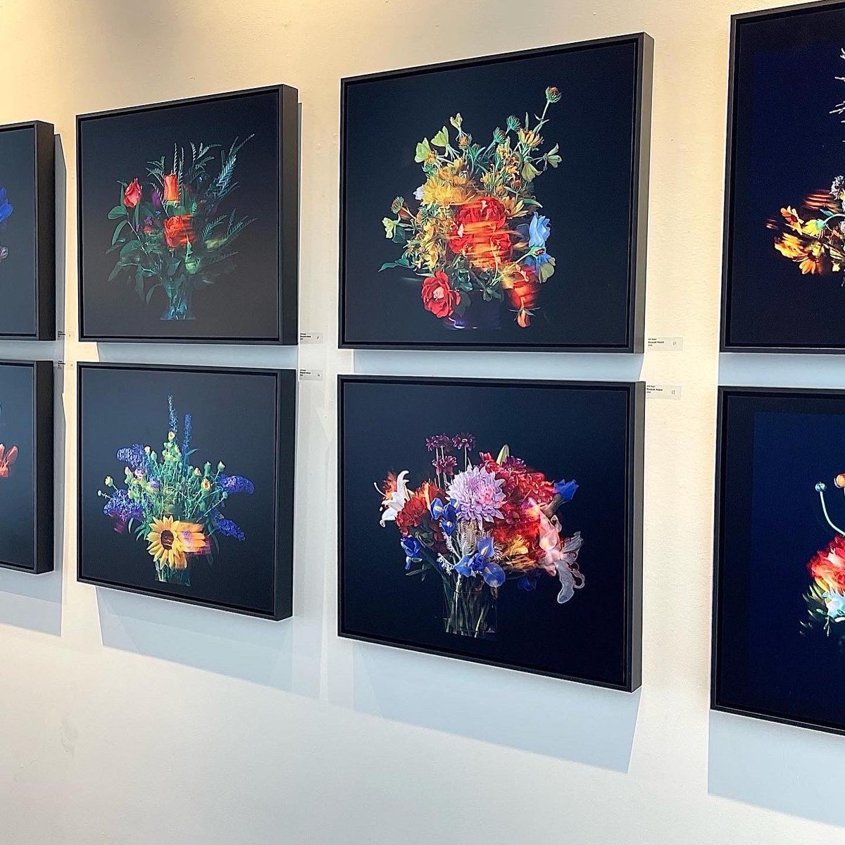 Will Roger tweet media