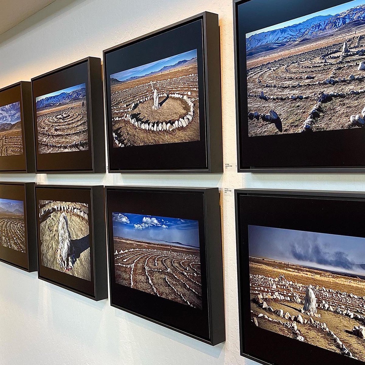 Will Roger tweet media