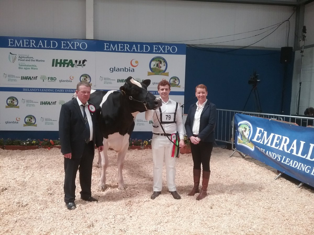 Redhouse 1633 Goodwhone Isa exhibited by Padraic Greenan winner of the Emerald Expo highest EBI class with Paul Hannan, Judge, Colin Todd, handler and Deirdre Toal, Progressive Genetics, class sponsor