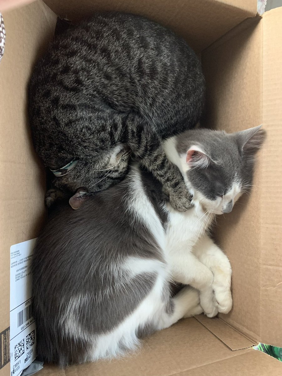 stitchtheruler's tweet photo. everyone deserves to have a good box! https://t.co/s5wy0cUW9T