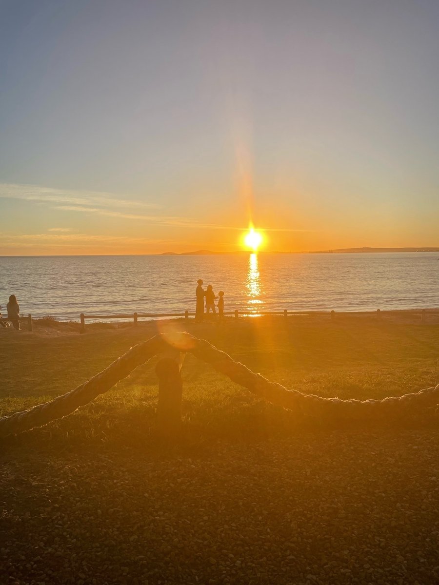 Brandon Jones tweet media