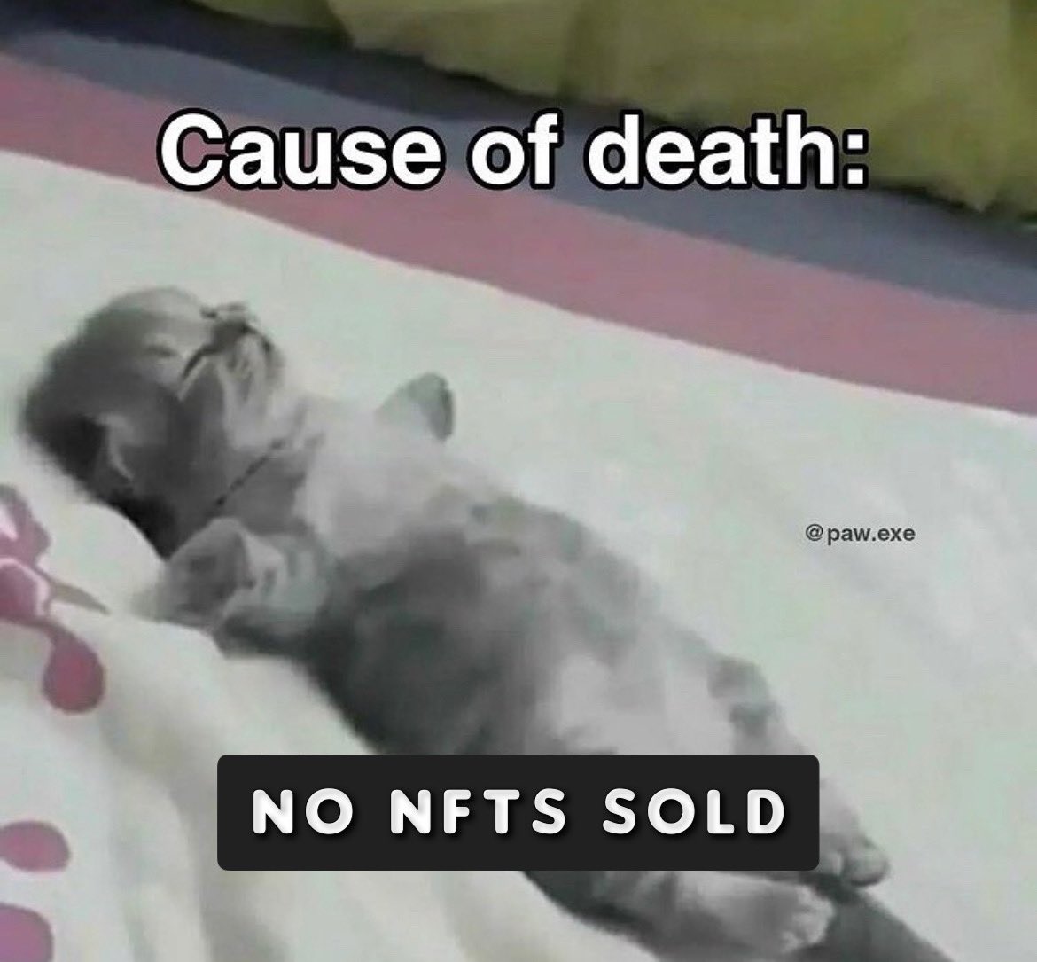 yellowdoodle tweet media