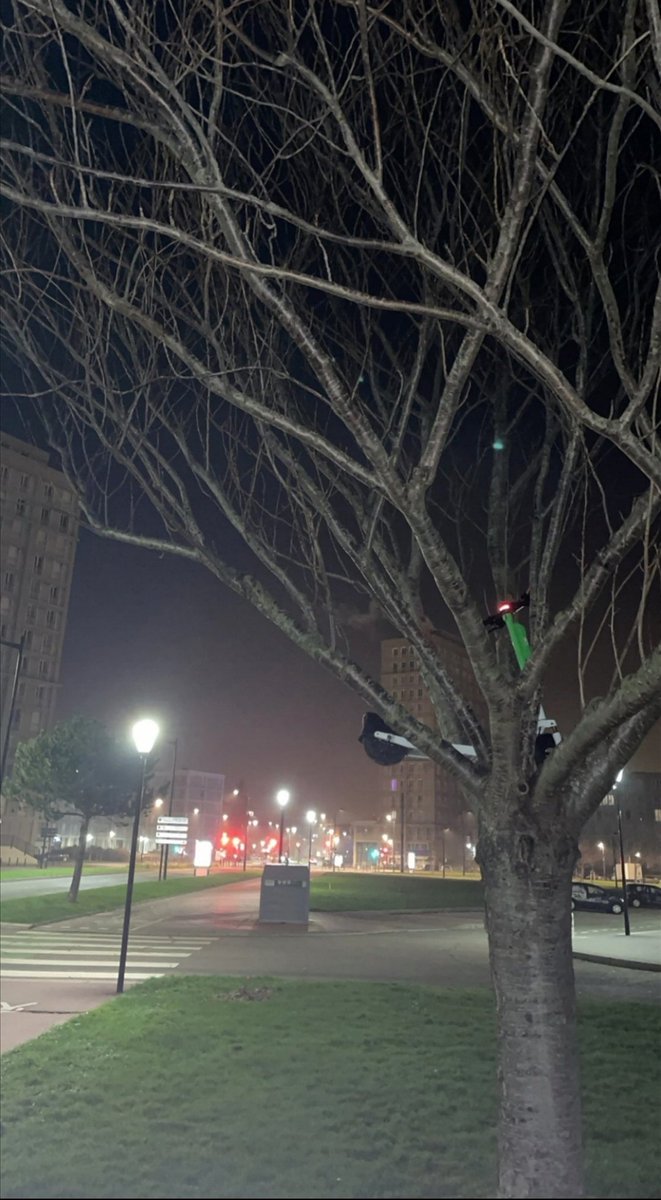 doux________'s tweet photo. Top 3 des lieux insolites où j'ai retrouvé une lime au Havre: ⬇️⬇️ https://t.co/PS5xmUJnsr