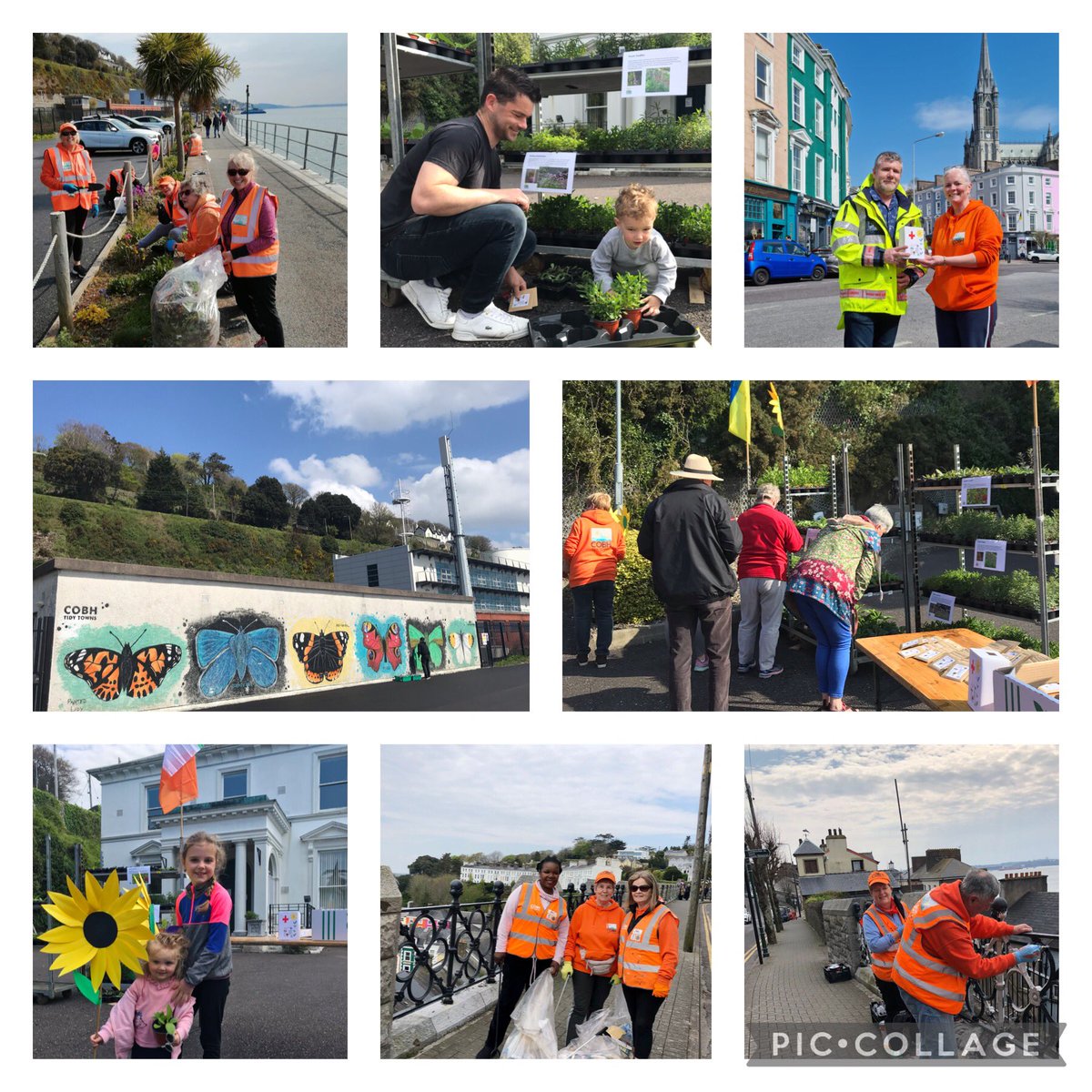 Another amazing community day in Cobh! €530 raised for @irishredcross Ukraine appeal in our 1hr sunflower seeds & wildflower plant giveaway. Painting railings, weeding the 5ft & litter picking too. Kevin O Brien artist touching up colour on our 2019 🦋mural. #cobh #tidytowns 🌻