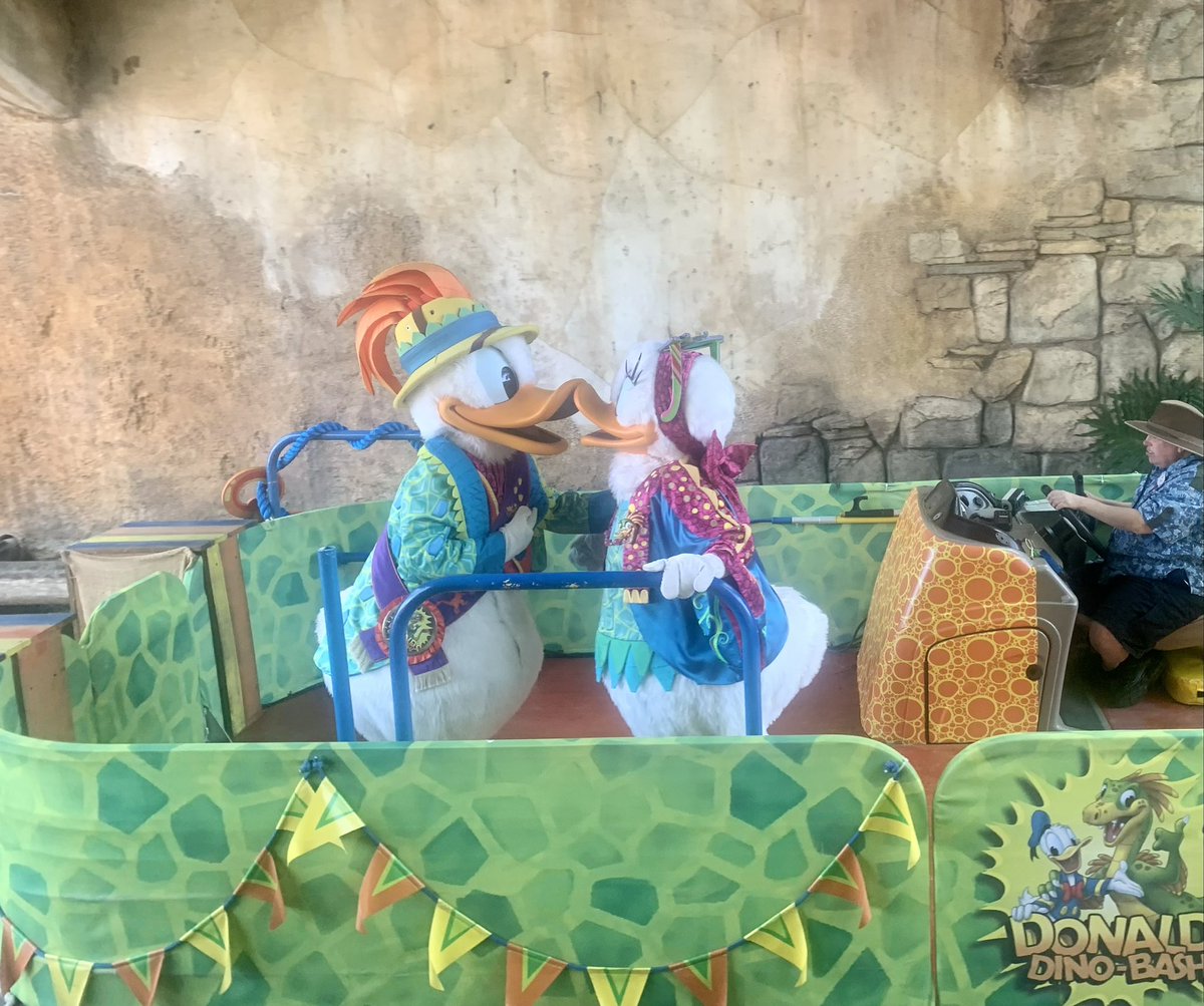 anysecondnowuk1's tweet image. It’s an Animal Kingfom day today #DisneyWorld