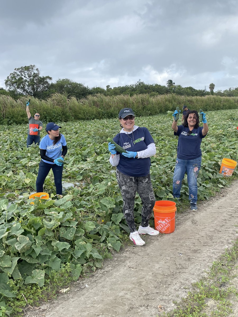 DholakiaSwati's tweet photo. Green Up event FLLCSR doing it’s part! It’s called GLEANING! We harvested 1000s of pounds of cucumbers. They will be donated to area Soup Kitchens! #JB4G #Earthday2022 #FLLCSR https://t.co/JNCfJHc5wi