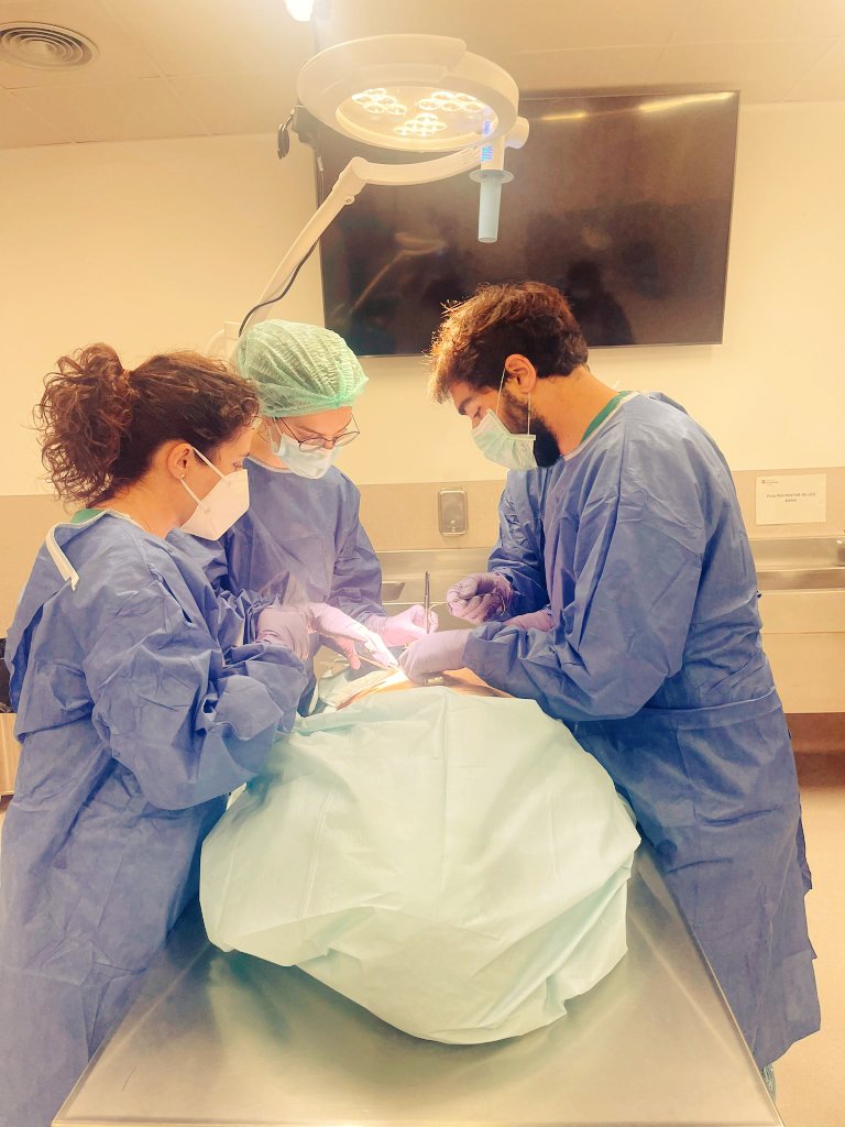 Ahir dia d'aprendre tots plegats a <a href="/u_medicina/">Facultat de Medicina UVic-UCC</a> gràcies per convidar-nos <a href="/cirurgiaalthaia/">Cirurgia Althaia 🏥</a> <a href="/ColleraPablo/">Pablo Collera</a> <a href="/MedtronicES/">Medtronic España</a> i gràcies <a href="/cjGomez22/">Carlos Gómez</a> <a href="/RFarr15/">R. Farré</a> i <a href="/LaiaNogue/">Laia Nogué Navarro</a> per l'esforç!
Enhorabona residents <a href="/jaume_ortega/">Jaume Ortega Alcaide</a> <a href="/FerneyGo/">FD Gómez</a> <a href="/GLopezSoler/">Guillermo López-Soler</a> <a href="/cocolaia/">Laia Codina</a> @surg_eric <a href="/edu_siso/">eduardo palomero</a>! <a href="/harnaulleida/">Hospital Universitari Arnau de Vilanova</a>