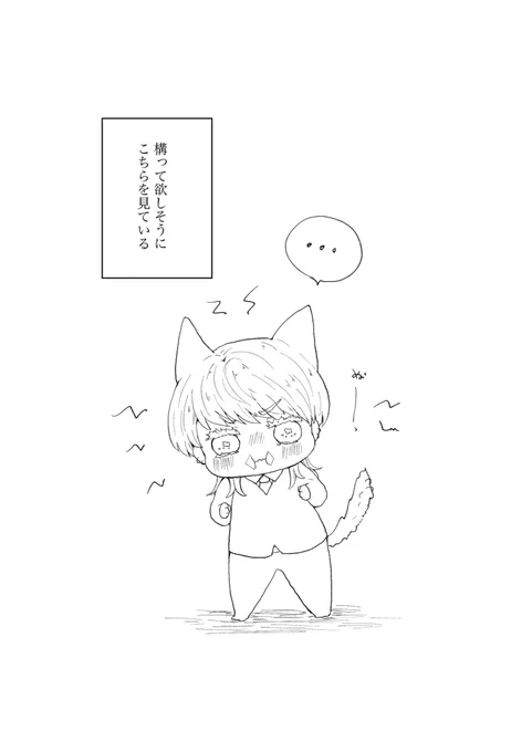 原稿進捗。猫本もぼちぼち描いてます。 