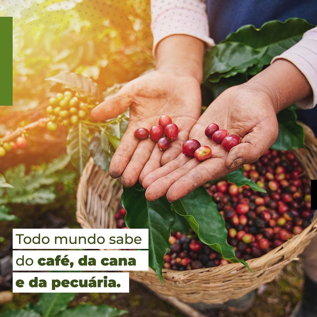rodrigogarcia_'s tweet photo. São Paulo é uma terra abençoada. É criação de animais, flores, grãos, frutas, horticultura, criação de florestas e extrativismo vegetal combinados. É muito motivo de orgulho pra um paulista raiz! https://t.co/qwU4L8LNjn