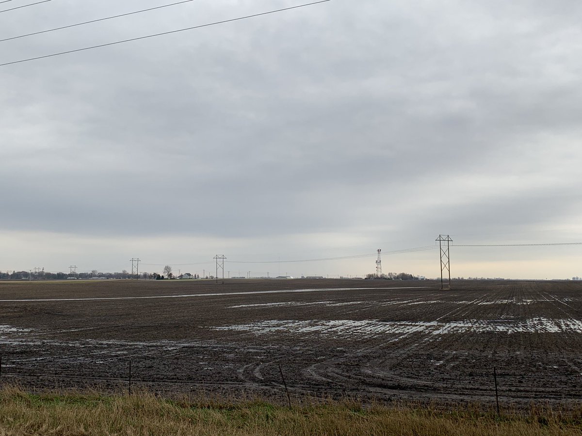 MNelson_ISU's tweet photo. Want to see the difference in rainfall infiltration between tillage and not disturbing the soil?

Both bean stubble. The first heavily tilled, the second with only NH3 tracks. Right across the road from each other. 

Only water in field on the right is from… border tillage pass https://t.co/i9ZgMgIaAj