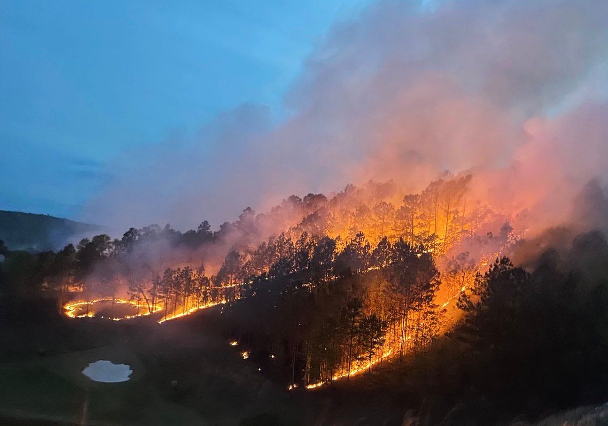 SandraRyder's tweet photo. Extraordinary photo of controlled burn @PursellFarms resort to clear hillside underbrush and limit potential dry season fire damage. #FarmLinks #golfcourse https://t.co/8g6iOCYhtz