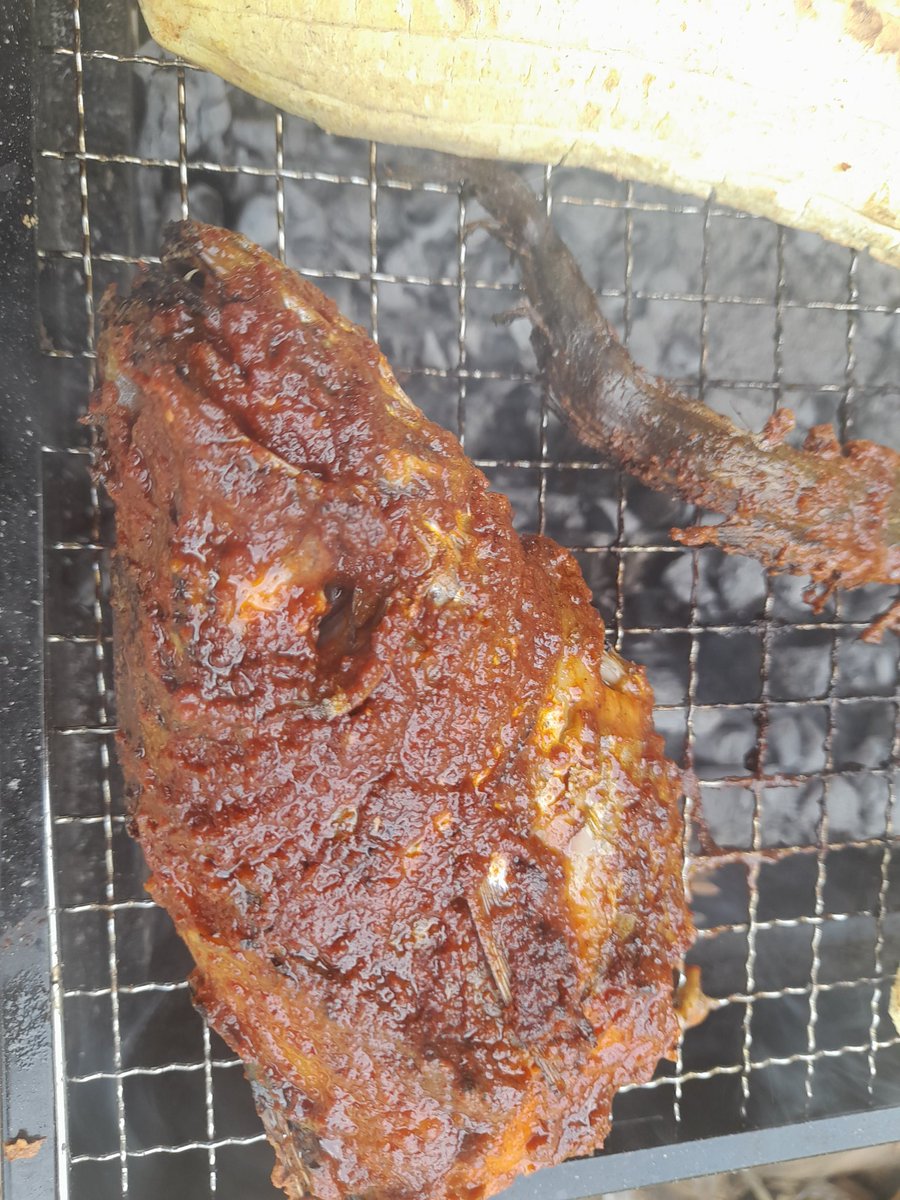datalogict's tweet photo. Sasu fish grill #grilling #fishgrill #Abeokuta @FunaabEfiko @FUNAAB_SUG #funaab #ASUU https://t.co/TyMJHEqrdO