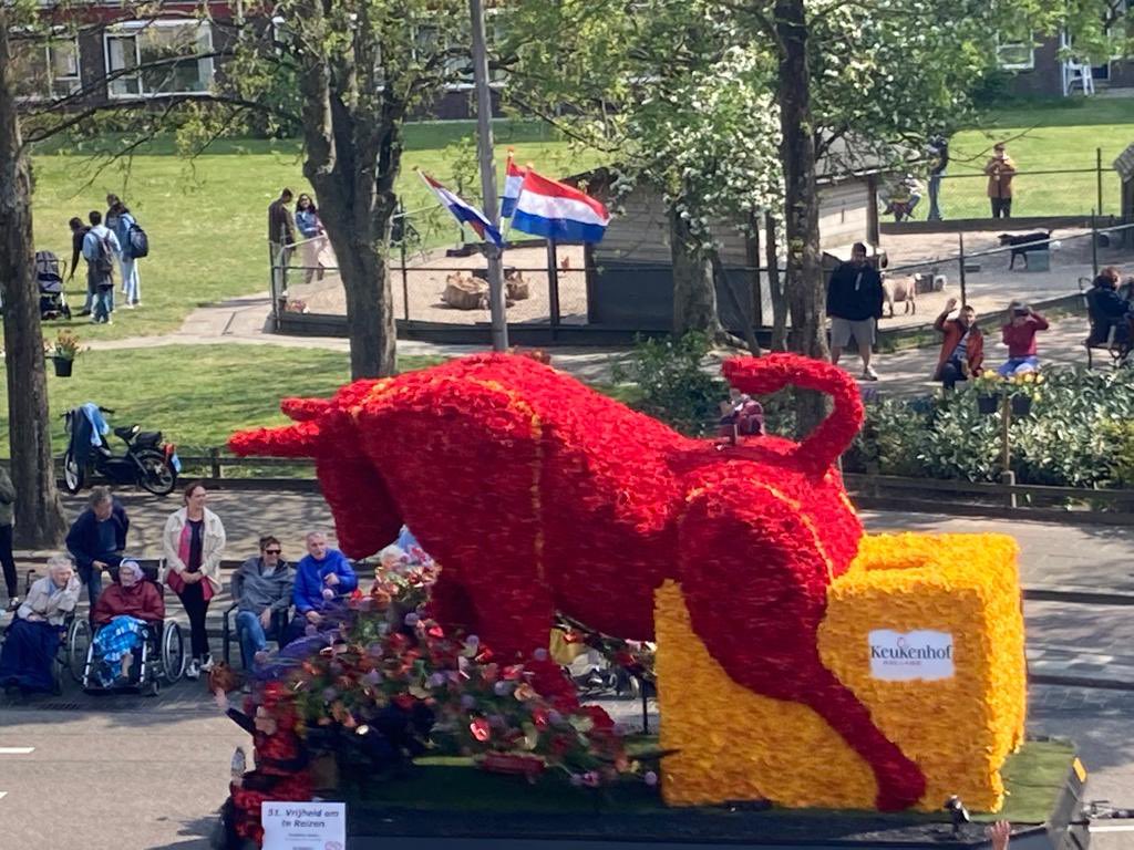 ArthijV's tweet photo. The bull is present at the flowerparade in the Netherlands also. All supportive of our world champion! Go @Max33Verstappen &amp; @redbullracing! Gl today! https://t.co/KMaAX6RfbY