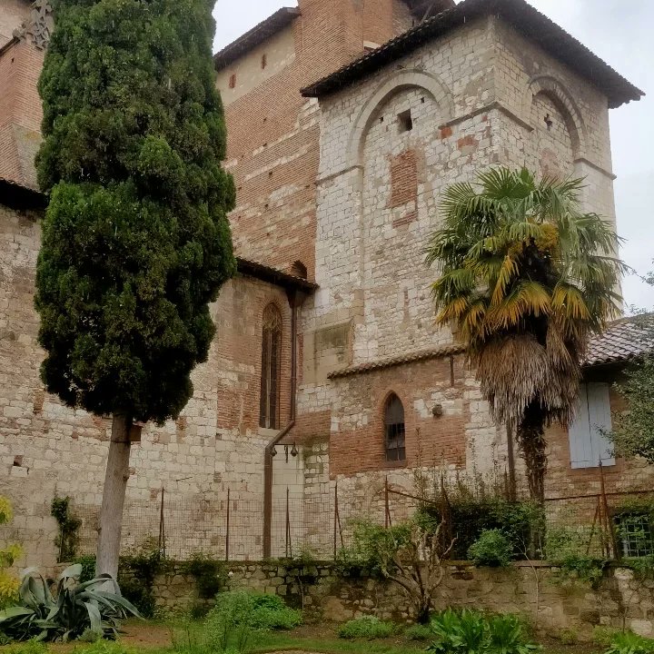 alexandrepoulet's tweet photo. Le Cloître Saint-Salvi 🌱⛪
Pause déj sous la pluie mais dans un joli décor 😍
#occitanie #albi #tarn #cloitre #saintsalvi https://t.co/x1RF5xz5V4