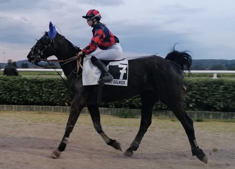 EcurieGriff's tweet image. L'élevage à l'honneur hier à @hippostgalmier grâce à 𝐇𝐚𝐥𝐦𝐚 𝐆𝐫𝐢𝐟𝐟 qui signe sa 4e victoire en carrière🏆

1️⃣2️⃣e victoire pour un "Griff" cette année 🤩.

Un grand bravo à tout l'entourage 👏
🐎 Alexiane Lepage
🧢 Loïc Lerenard
🎩 @CafaroMathieu / @EricVDA / L.Lerenard