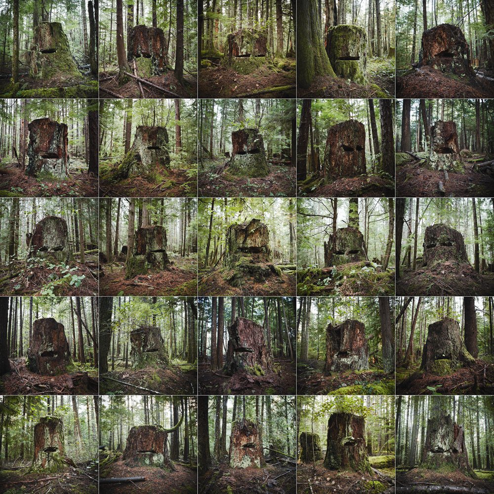 Earth Week: David Ellingsen: The Last Stand 
"This project served as a meditation on these icons from the human-altered landscape but soon evolved into a metaphor for the natural world that supports me, and the essential incompatibility of the two."

lenscratch.com/2022/04/earth-…