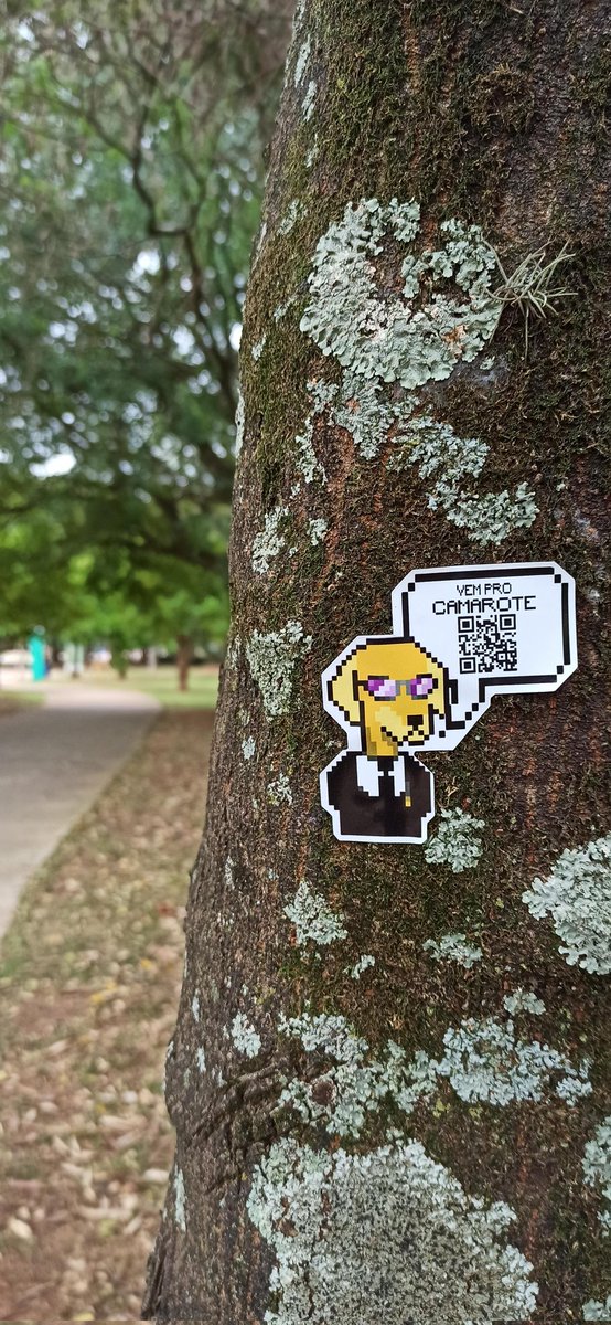 A sociedade está preparada? #vemProCamarote : discord.gg/uQCmn7WRca
#NFTsales #NFT #DeFi