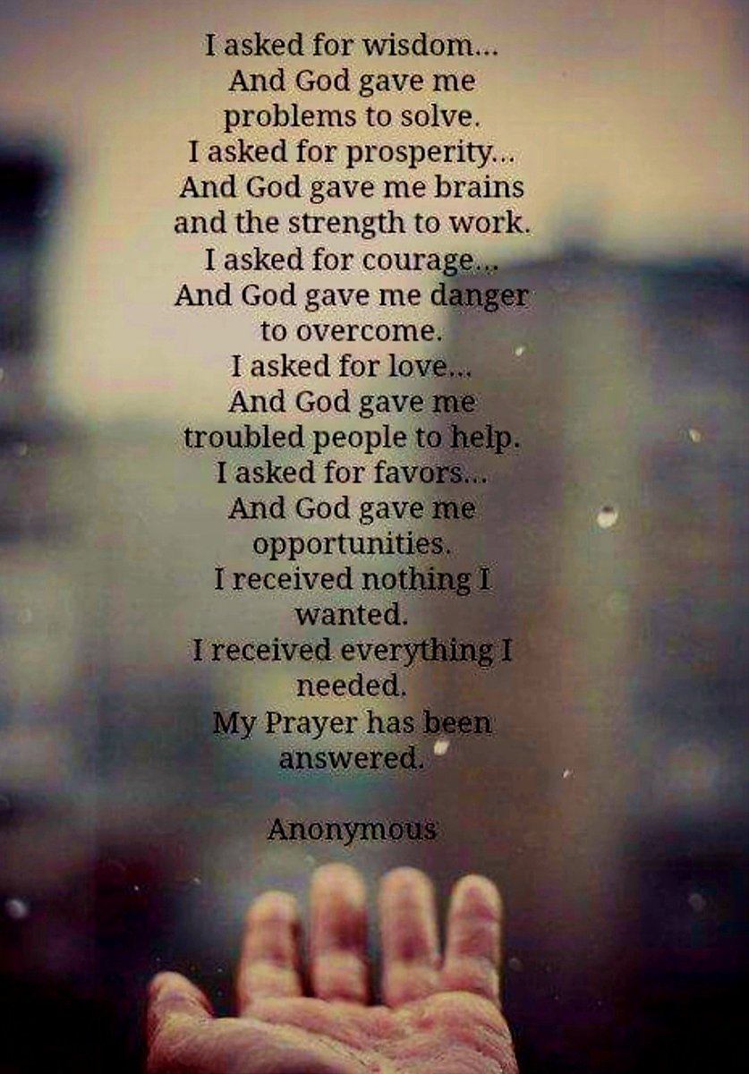 Zaffar Hussain (@zaffarh25889229) on Twitter photo 