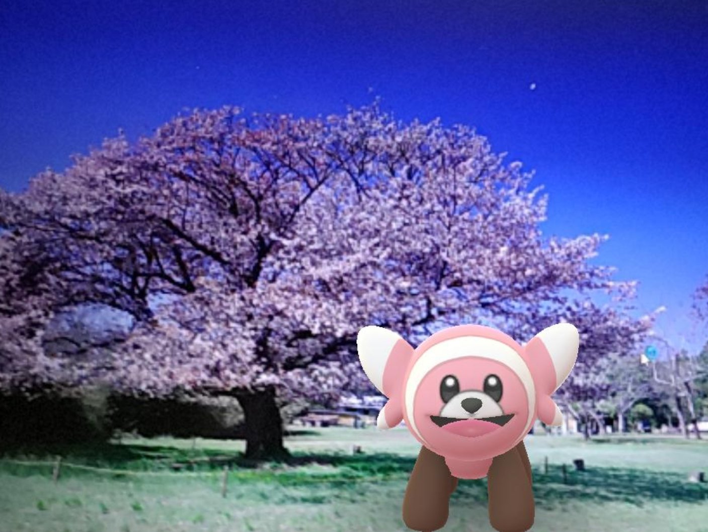 パルマ ポケモンgo Palma4191 Twitter
