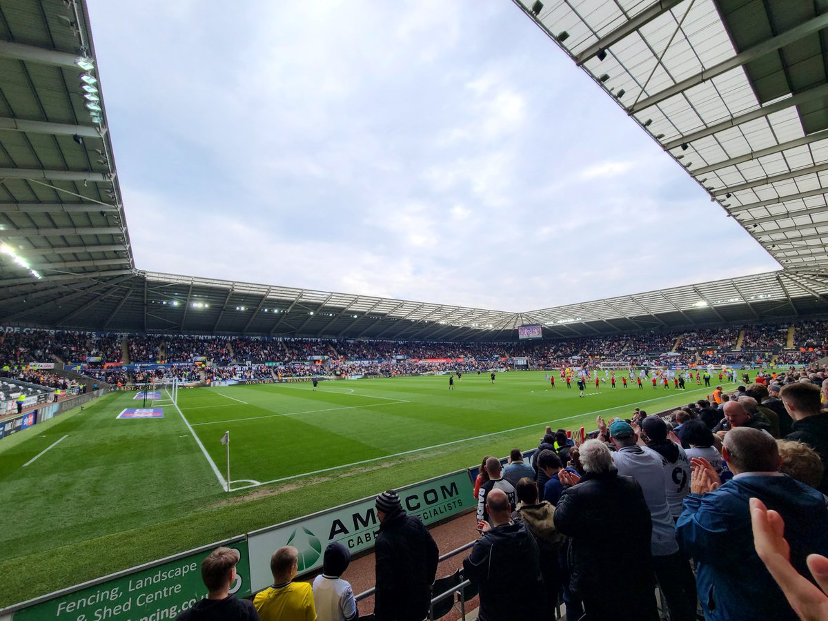 NYCSwans's tweet image. 