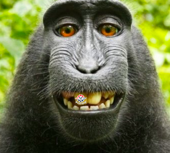 MDTpistontoken's tweet photo. Weekend meme competition! 👀🥳

Rules: Make a #PSTN themed meme and tag 5 of your friends 🤗🤗🤗🤗🤗

The best meme will win a day's rewards from the community wallet! 😍

Closing date April 24th 3PM UTC

Community wallet: https://t.co/aaU64cEUKG https://t.co/r4q1SvN3gs