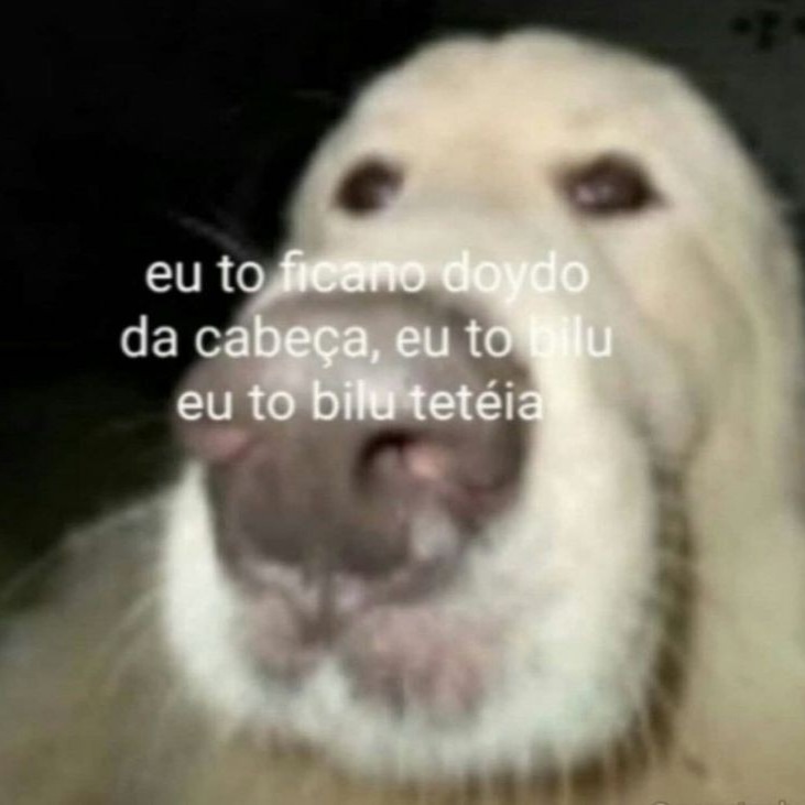 xxxvideos____'s tweet photo. @guilhermehttk https://t.co/Ot1q7ziThn