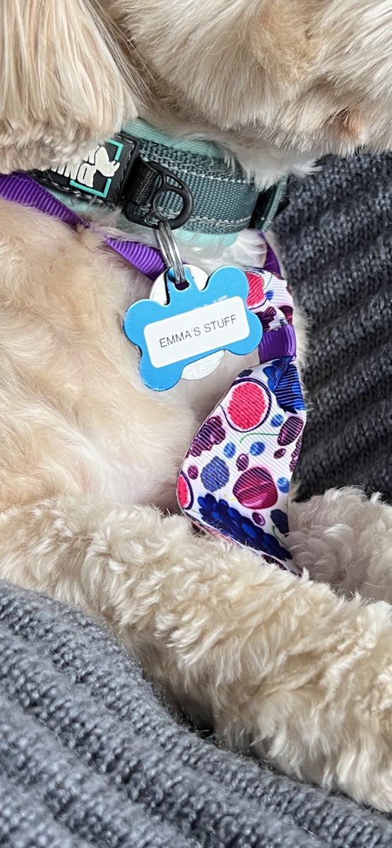 EmmaKMV9's tweet photo. so my dad got a new label maker and— https://t.co/FsxY09ePP4