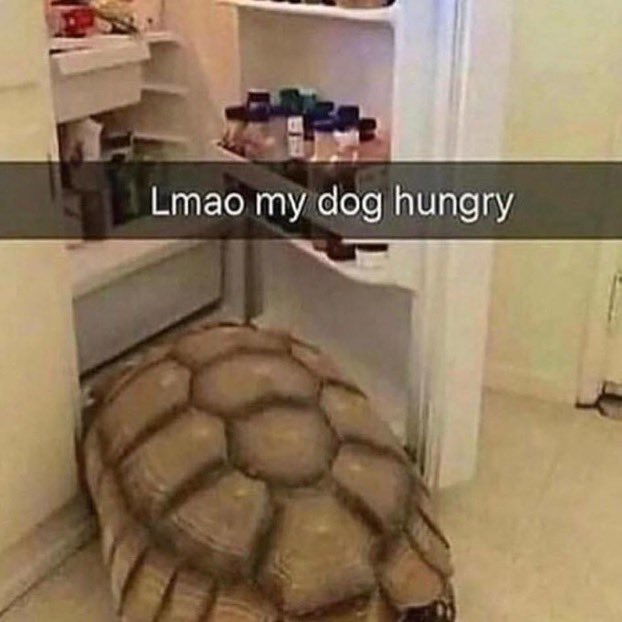 Lmfaoos's tweet photo. https://t.co/3EU1q2jKDq