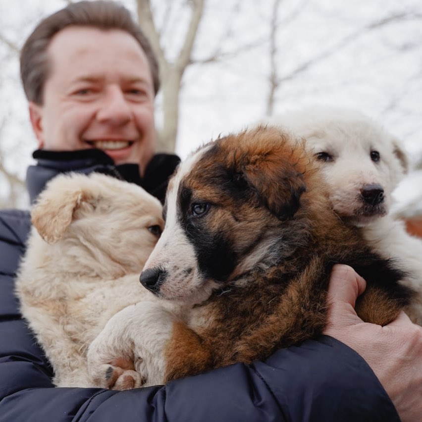 Pedro Sánchez (@pedrosanchez502) on Twitter photo 