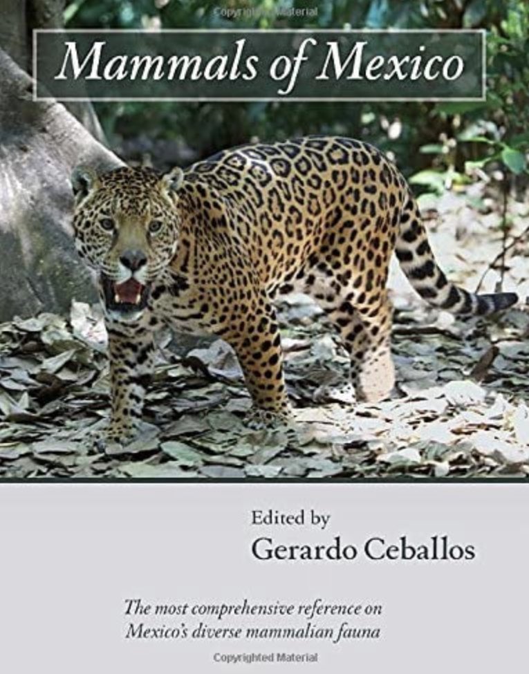 ThisisMyEarth's tweet photo. 23 April is #WorldBookDay📚! Today and every day, let's remember that books have the power to change the world.

In our board there are prestigious scientists who have published books of renown in the field of nature conservation such as @GerardoCeballos 

https://t.co/kvHEKZPeO9 https://t.co/Nvf8xlVPns