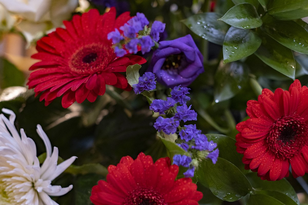 Bfdcathedral's tweet photo. The flowers today have been given by Helen Tait in memory of her parents Harry and Kathy Wilkinson.

If you would like a future arrangement dedicated to someone, please e-mail flowers@bradfordcathedral.org

#flowers #Easter2 https://t.co/FwGQm3p5Yh