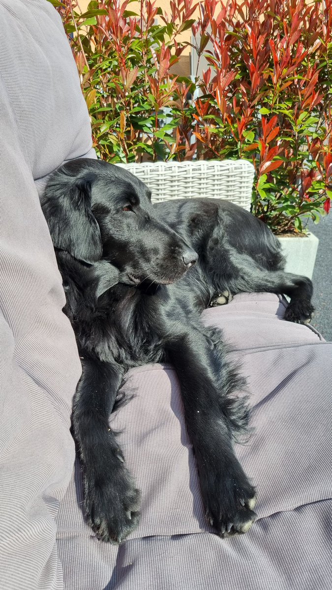 MichaHamann's tweet photo. Chilling in the sun 🥰☀️ https://t.co/kwT0oKB0sB
