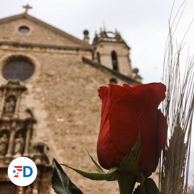 ForumDemocrata's tweet photo. 🌹El #Fòrumdemòcrata us desitgem una bona diada de Sant Jordi.

📚 Com a entitat compromesa amb la cultura catalana i seguint la nostra premissa: apropem el coneixement als joves, en aquest cas de la mà de la @CasaClassics https://t.co/5boWWWskqV