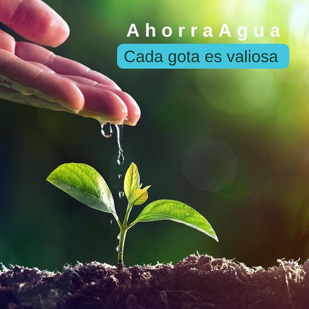 sin_agua22's tweet photo. @AyD_ParaTi informan que se ven obligados a limitar el suministro de agua en algunas zonas a las que no les corresponde la reducción del agua Plan Agua para Todos, con el fin de enviar agua a la zona nor poniente de Monterrey y Escobedo ya que se necesita equilibrar el abasto. https://t.co/aiHNu96x8c