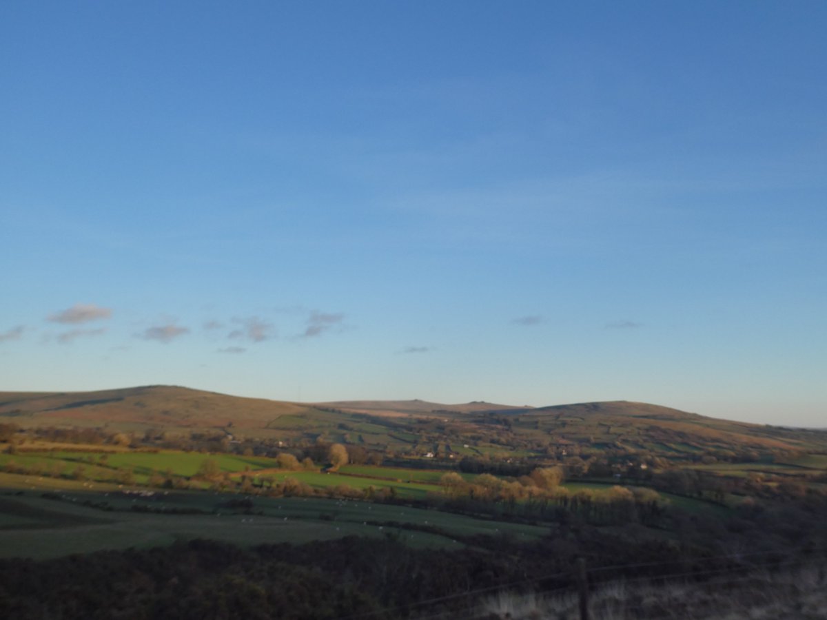 What's On Devon tweet media