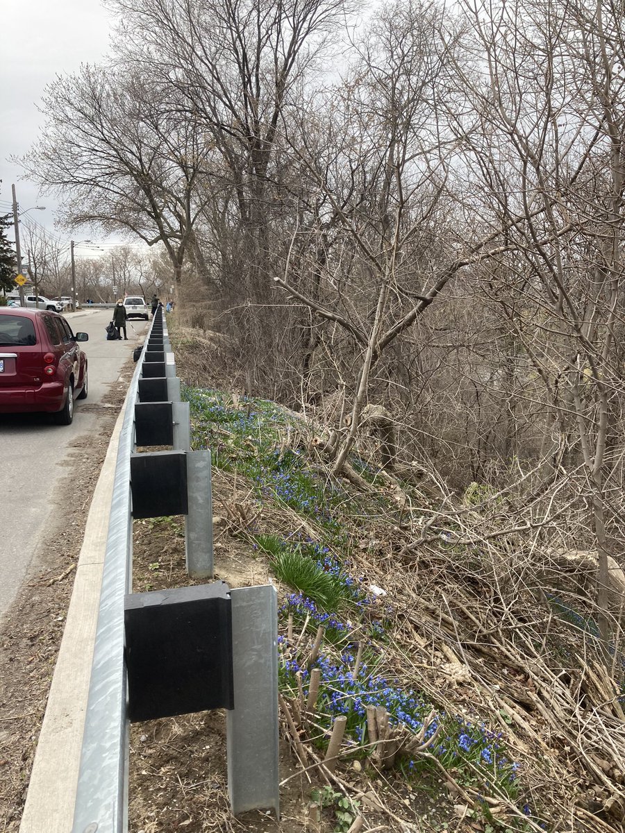 Mt Dennis community clean up in progress <a href="/MountDennisCA/">MDCA</a> <a href="/supercoffeeMD/">𝚜𝚞𝚙𝚎𝚛𝚌𝚘𝚏𝚏𝚎𝚎 ☕</a> #MDSpringClean