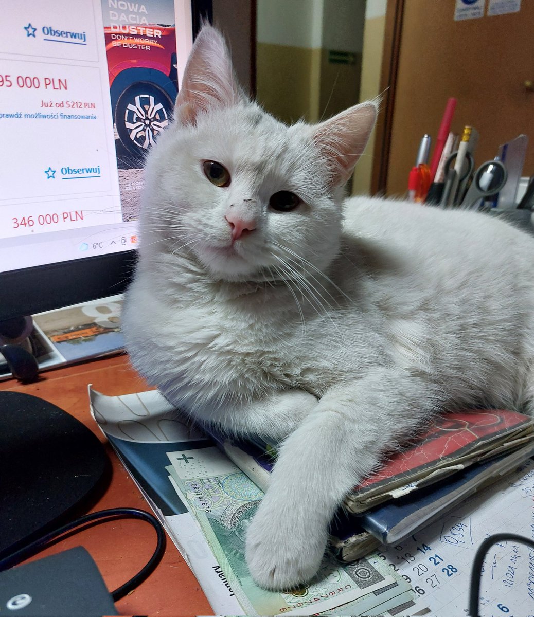 Barbara Rabarbar tweet media